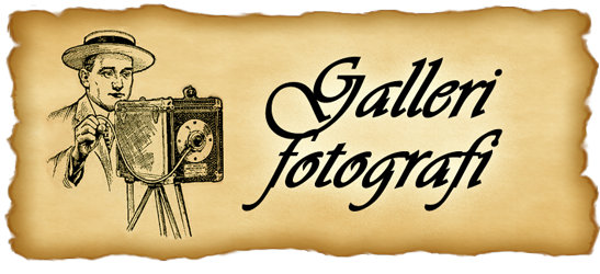 GalleriFotografi